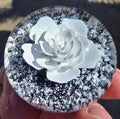 Memorial Paperweight  - Justin Bodovsky
