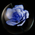 1.6 Flower Marble - Justin Bodovsky