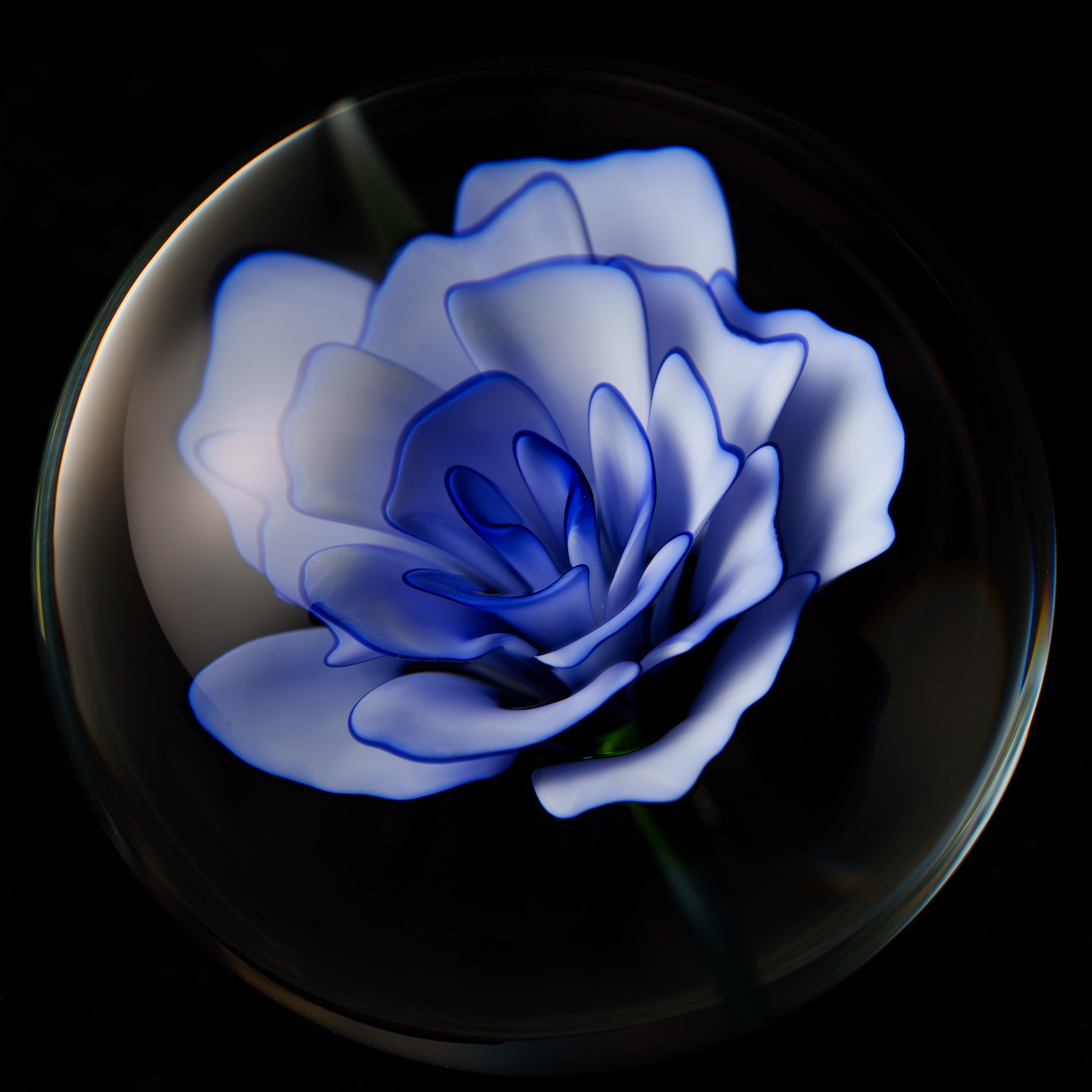 1.6 Flower Marble - Justin Bodovsky