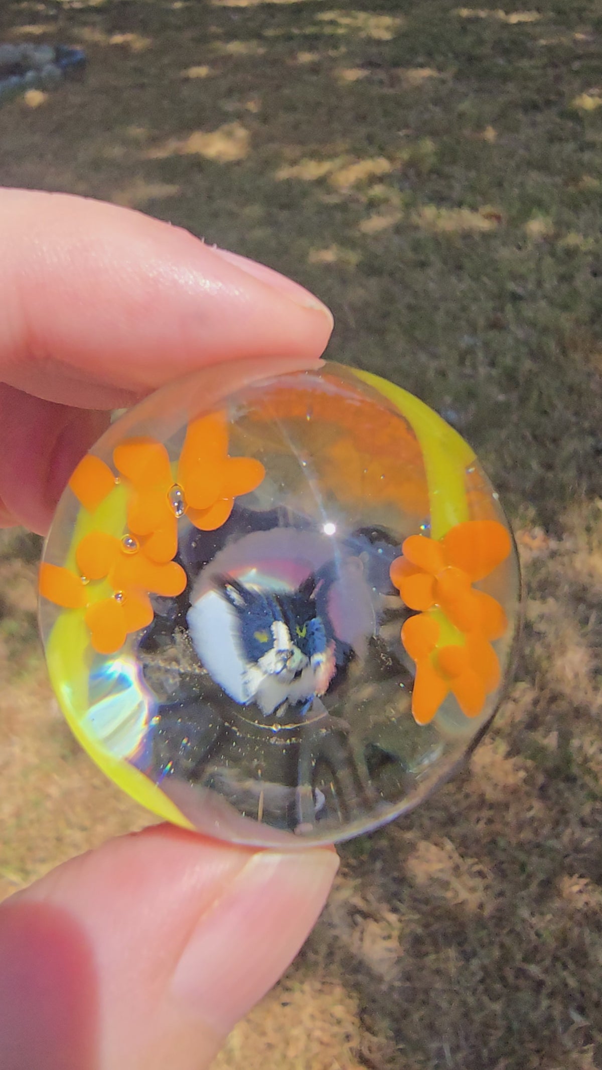 1.56 Kitty Marble  - Eve Bodovsky