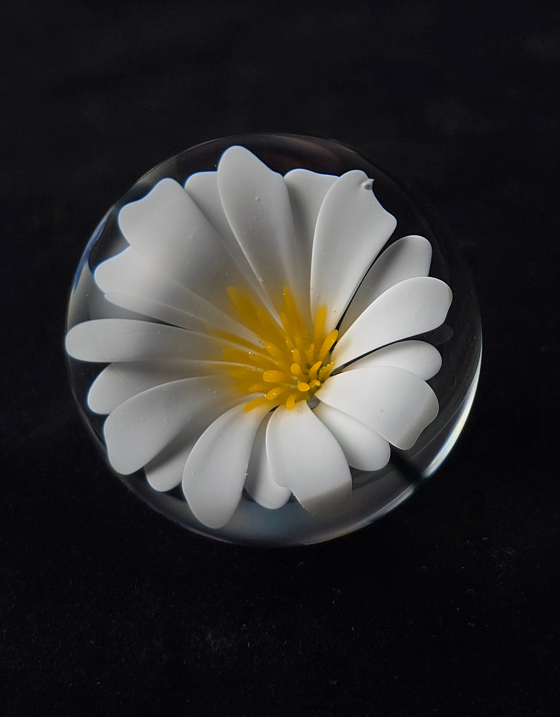 1.4 Flower Marble  - Justin Bodovsky