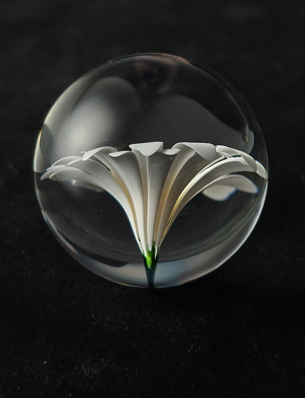 1.4 Flower Marble  - Justin Bodovsky