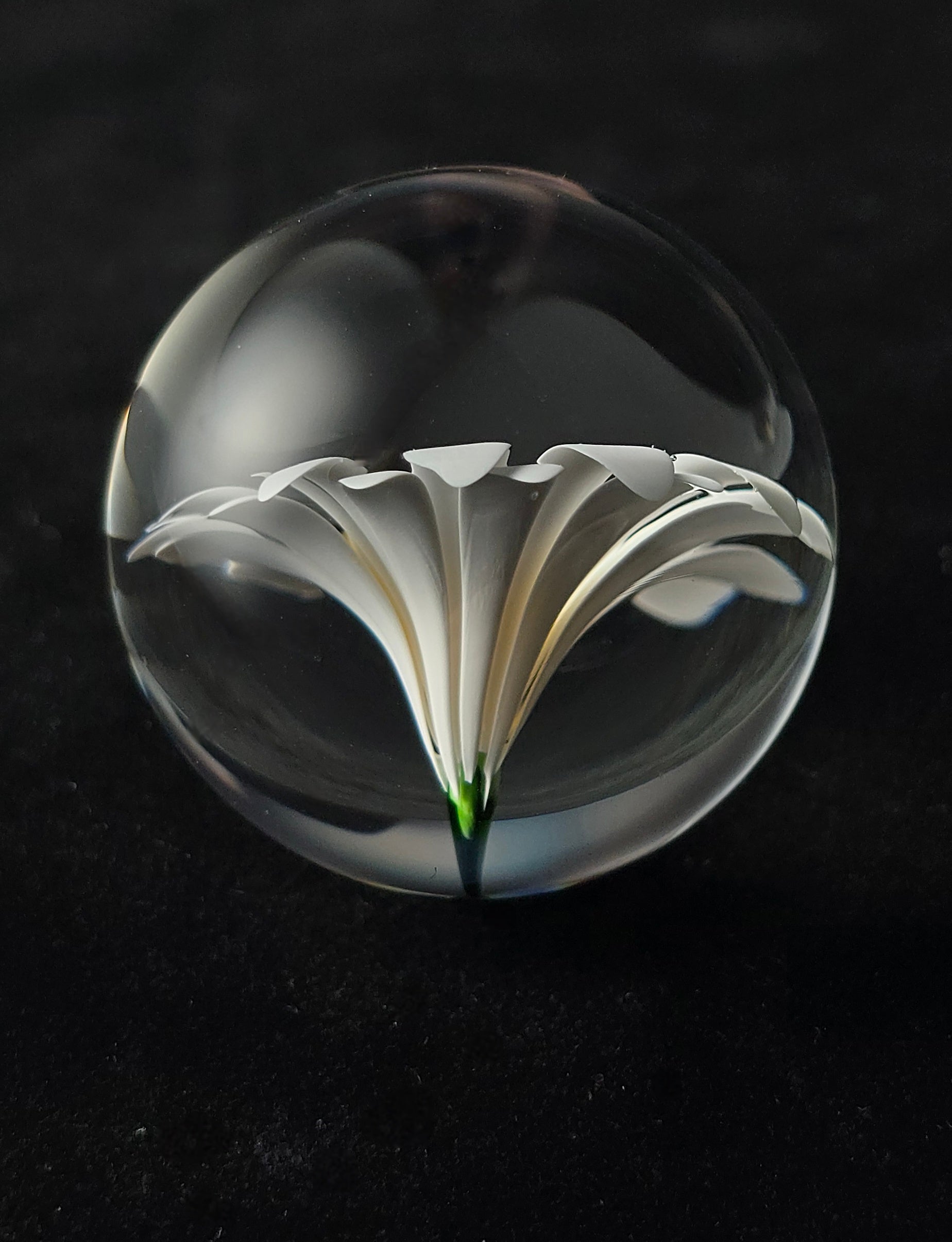 1.4 Flower Marble  - Justin Bodovsky