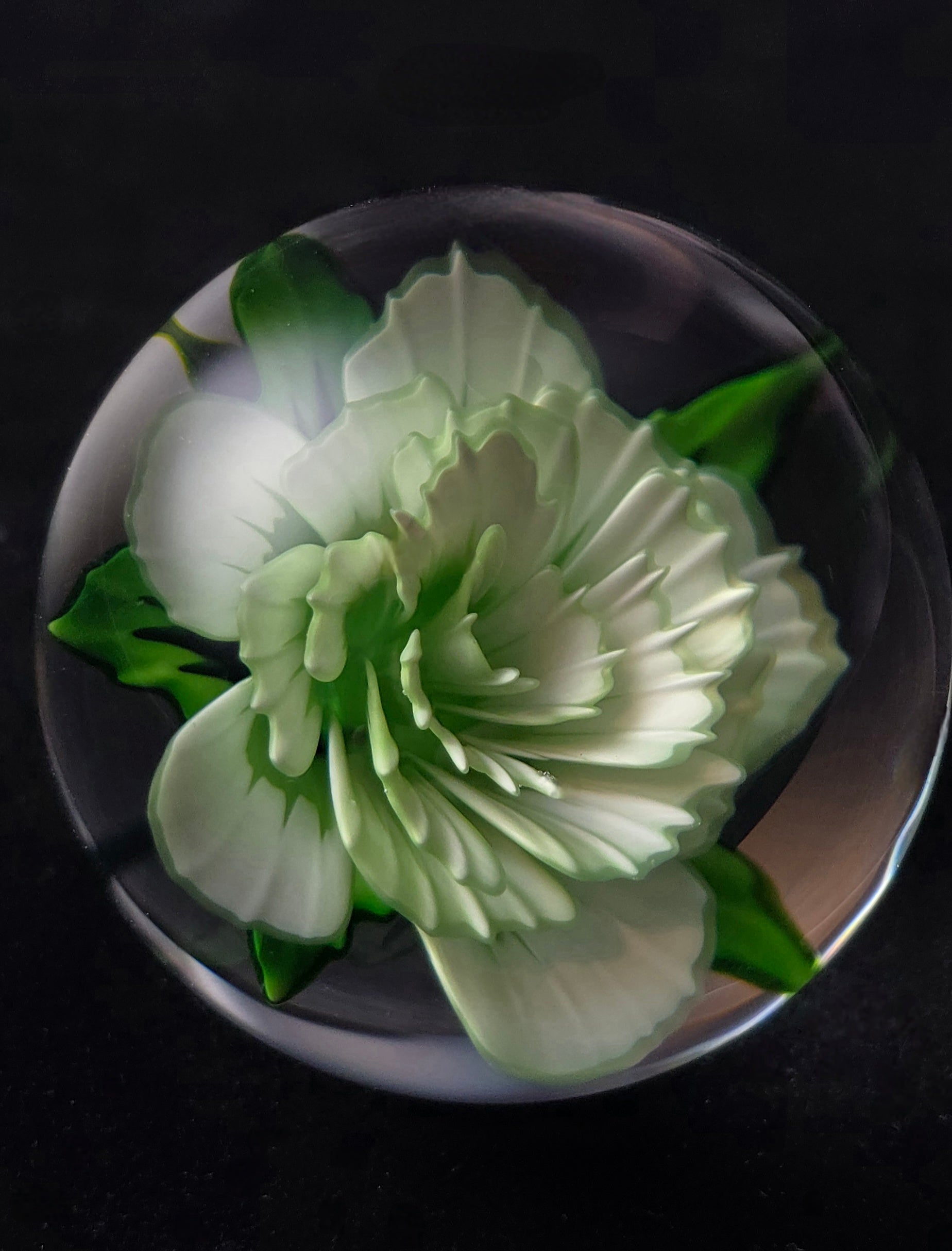 1.51 Flower Marble  - Justin Bodovsky