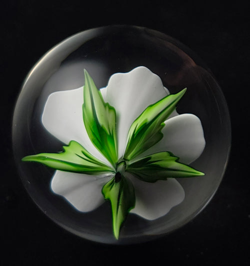 1.6 Flower Marble - Justin Bodovsky