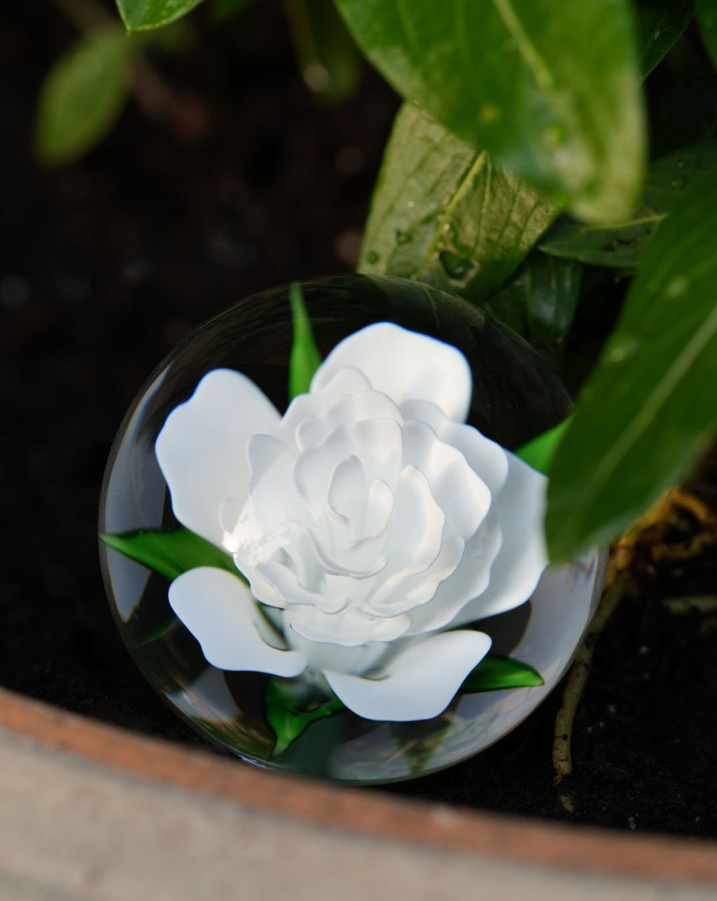 1.61 Flower Marble - Justin Bodovsky